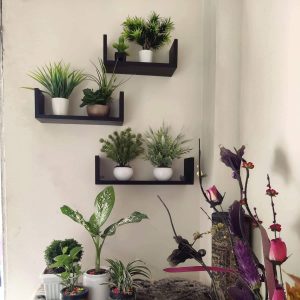 3PCS Wall Shelf