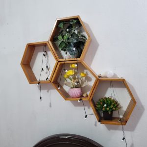 Hexagon Wall Shelf